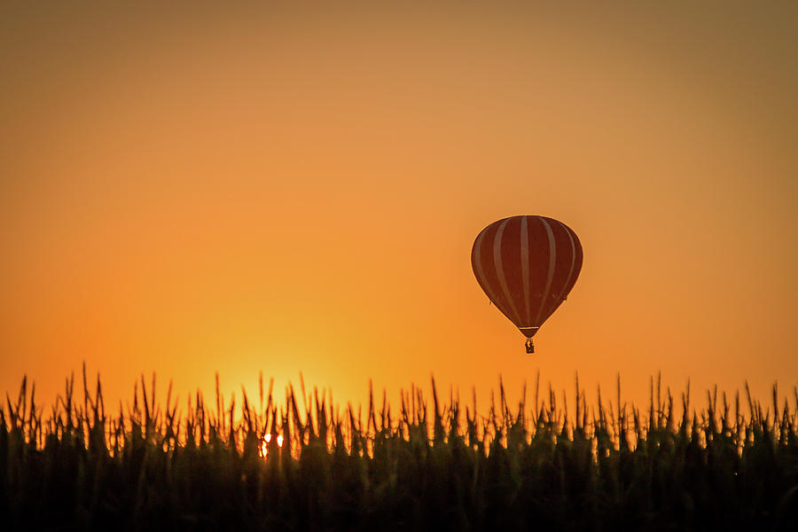 Hot Air Balloon Sunset Photograph