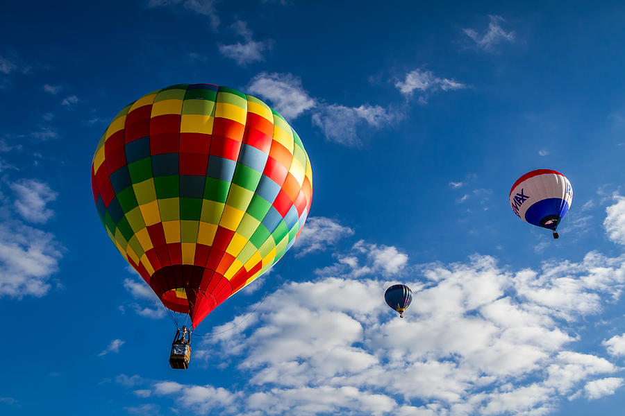 Hot Air Balloons Photograph by Ron Pate