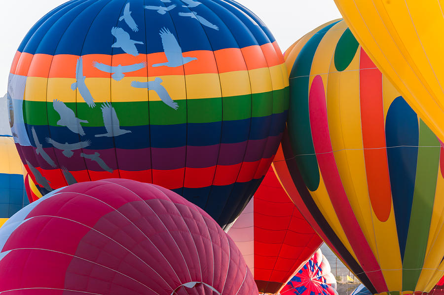 Hot air balloons 3 Photograph by Charles McCleanon