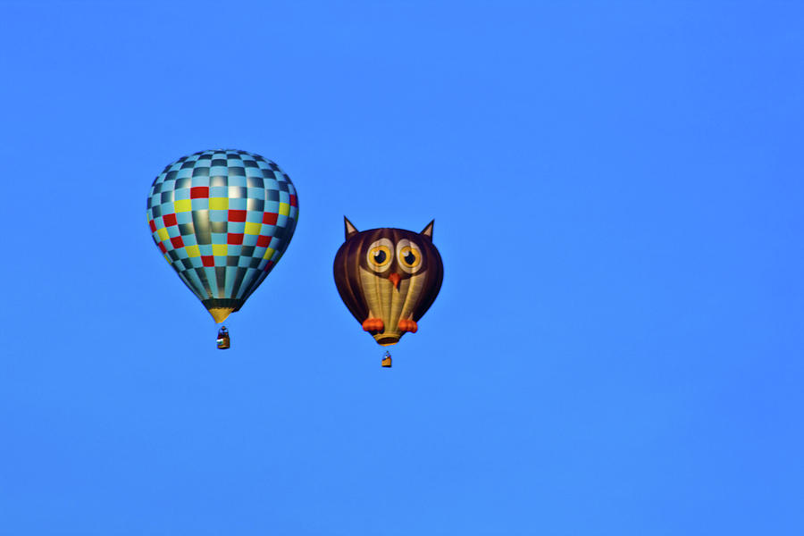 Hot Air Balloons Photograph by Bill Barber