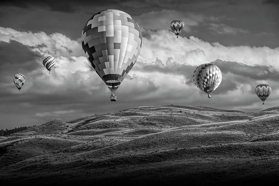 Hot Air Balloons in Black and White over Fields Photograph by Randall Nyhof