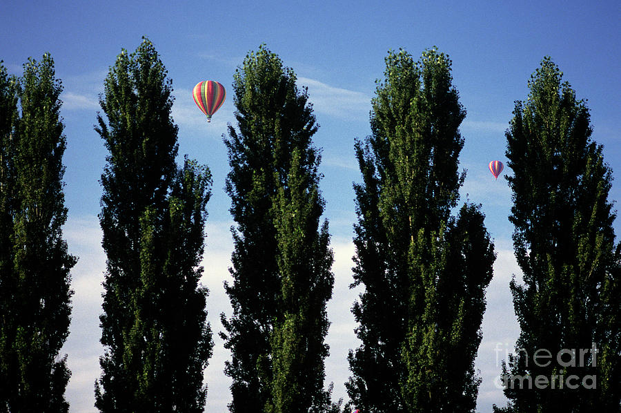Hot Air Balloons in Flight  Photograph by Jim Corwin