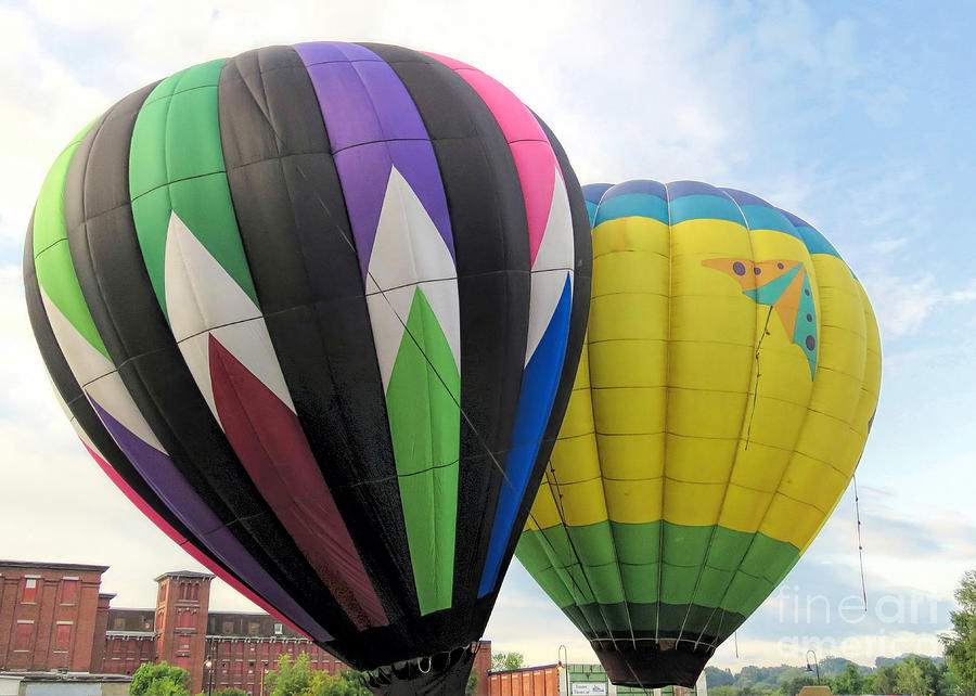 Hot Air Balloons  Photograph by Janice Drew