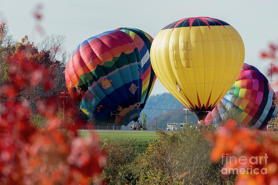 Hot air balloons lift off Photograph by Dan Friend