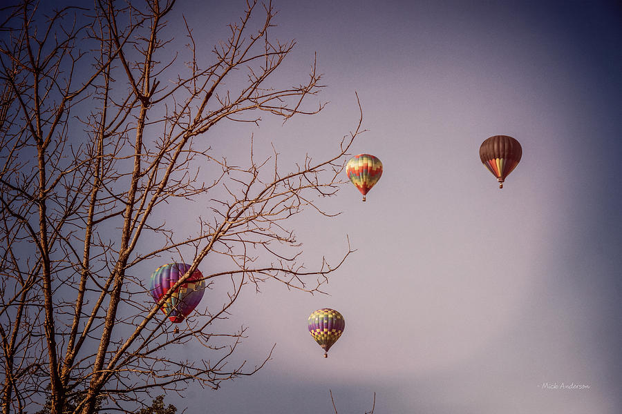 Hot Air Balloons On The Rise Photograph by Mick Anderson