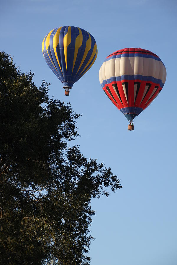 Hot Air Balloons over Dansville NY Photograph by Gerald Salamone