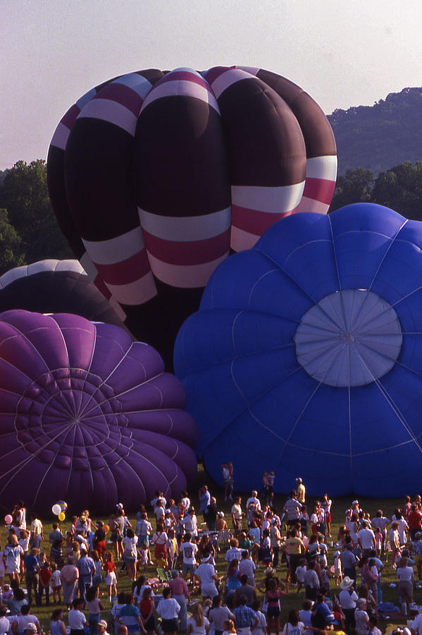 Hot Air Photograph - Hot Air Balloons by Randy Muir
