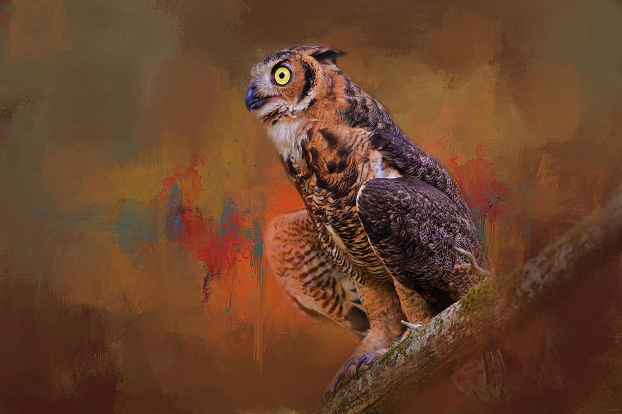Hot August Night Owl Art Photograph by Jai Johnson