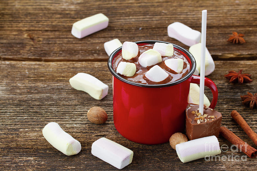 Hot Chocolate with Marshmallows Photograph by Anastasy Yarmolovich