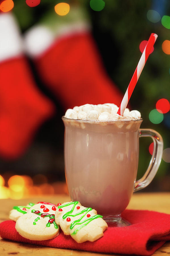 Hot Cocoa And Christmas Cookies Photograph by Susan Schmitz
