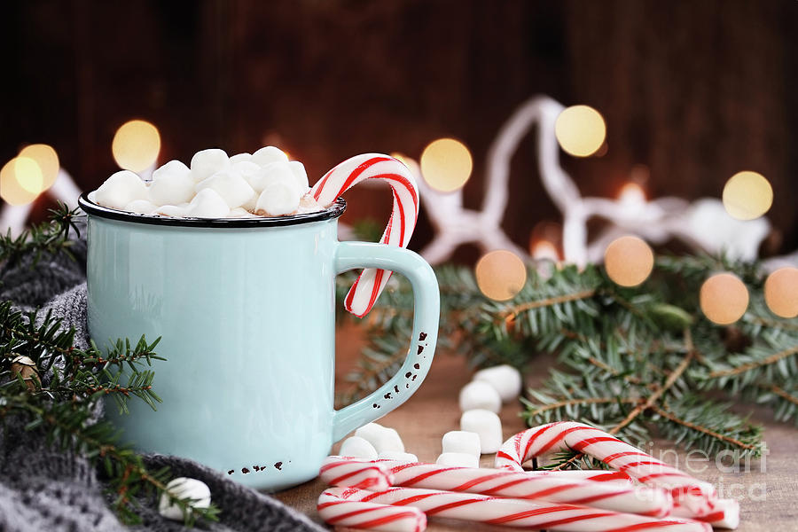 Hot Cocoa with Marshmallows and Candy Canes Photograph by Stephanie Frey