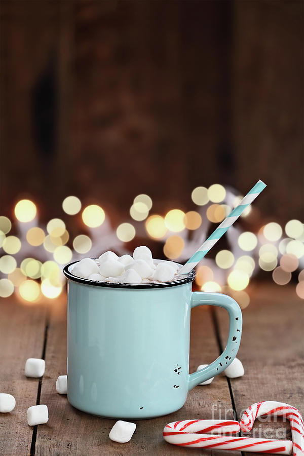 Hot Cocoa with Mini Marshmallows Photograph by Stephanie Frey
