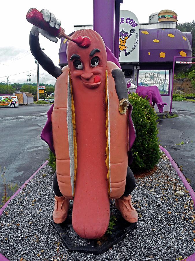 Hot Dog Man Photograph by Ron Kandt