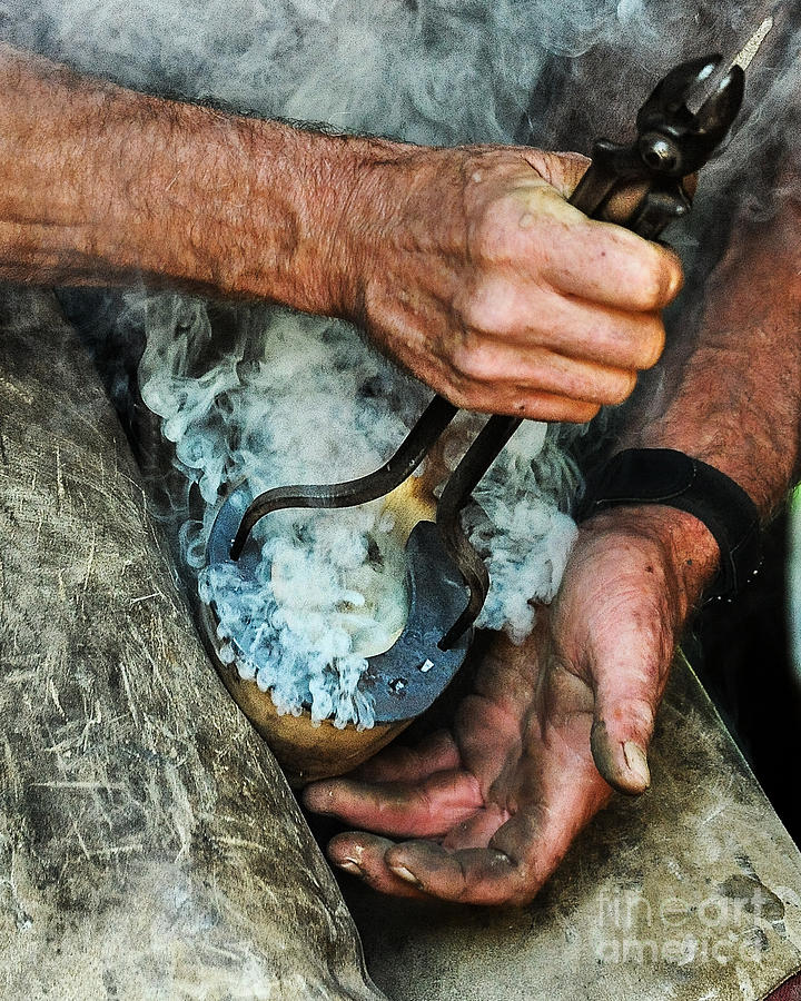 Hot Shoeing Photograph - Hot Fit by Heather Swan