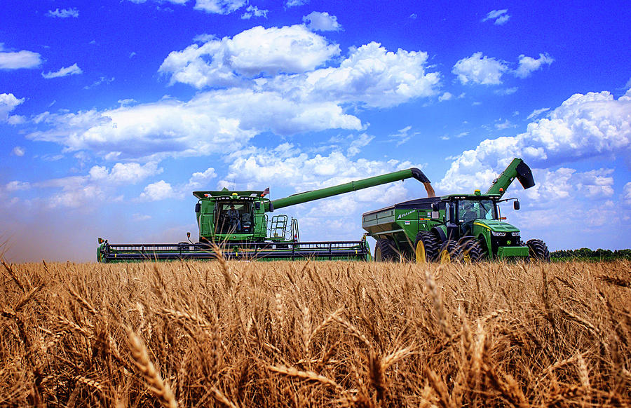Summer Photograph - Hot Harvest by Thomas Zimmerman