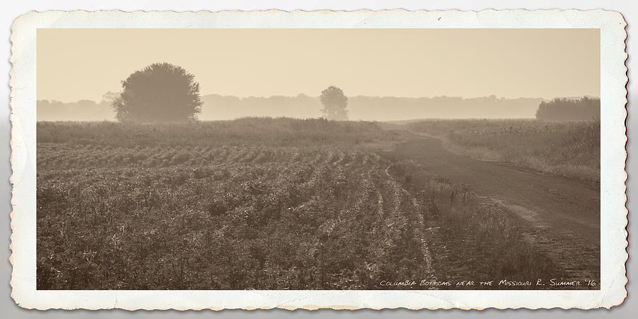 Hot, hazy summer morning in the Mississippi River Bottoms Photograph by Garry McMichael
