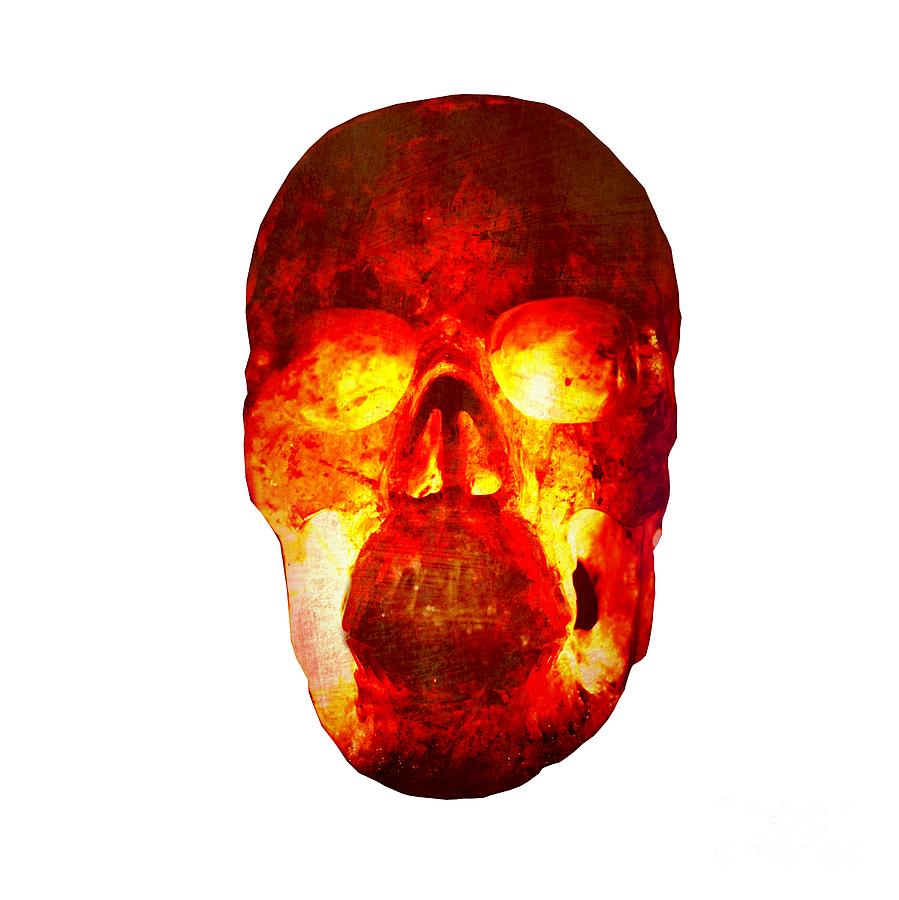 Hot Headed Skull on Transparent background Photograph by Terri Waters