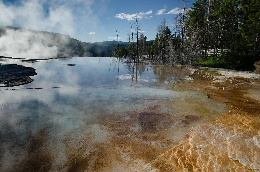Hot Mammoth Springs Reflection Photograph by Crystal Wightman