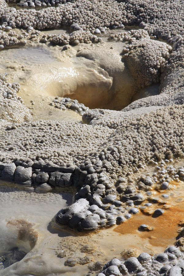 Hot Mud Photograph by Tammys Vintage - Fine Art America