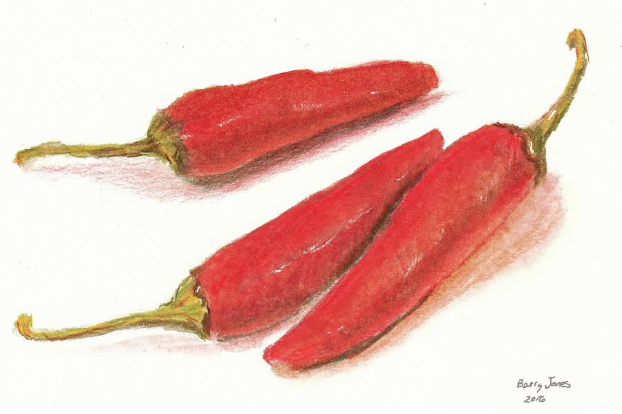 Hot Peppers Drawing by Barry Jones