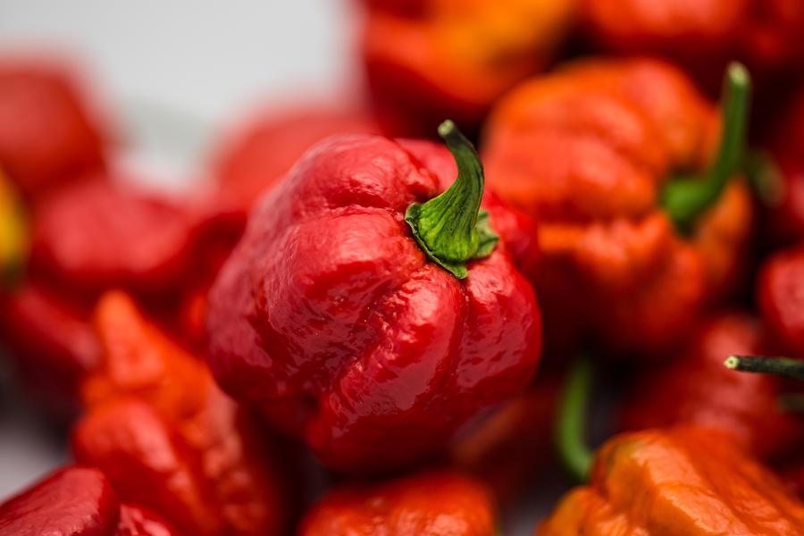 Hot Peppers Photograph by Joseph Skalny Hot Peppers Photograph by Joseph Skalny