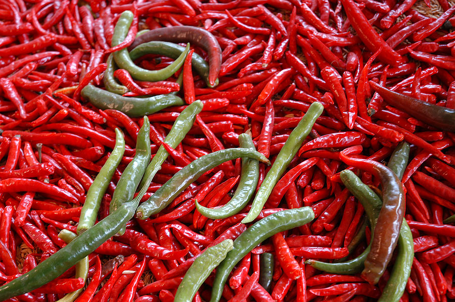 Hot Peppers Photograph by Kevin Oke