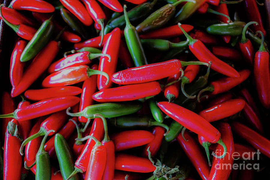 Hot Peppers Photograph by Thomas Marchessault