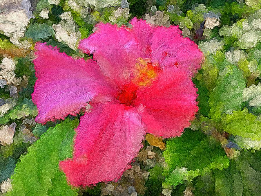 Hot Pink Hibiscus Digital Art by Alan Lakin