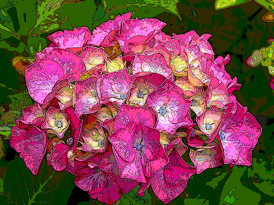 Hot Pink Hydrangea Digital Art by Ben Freeman