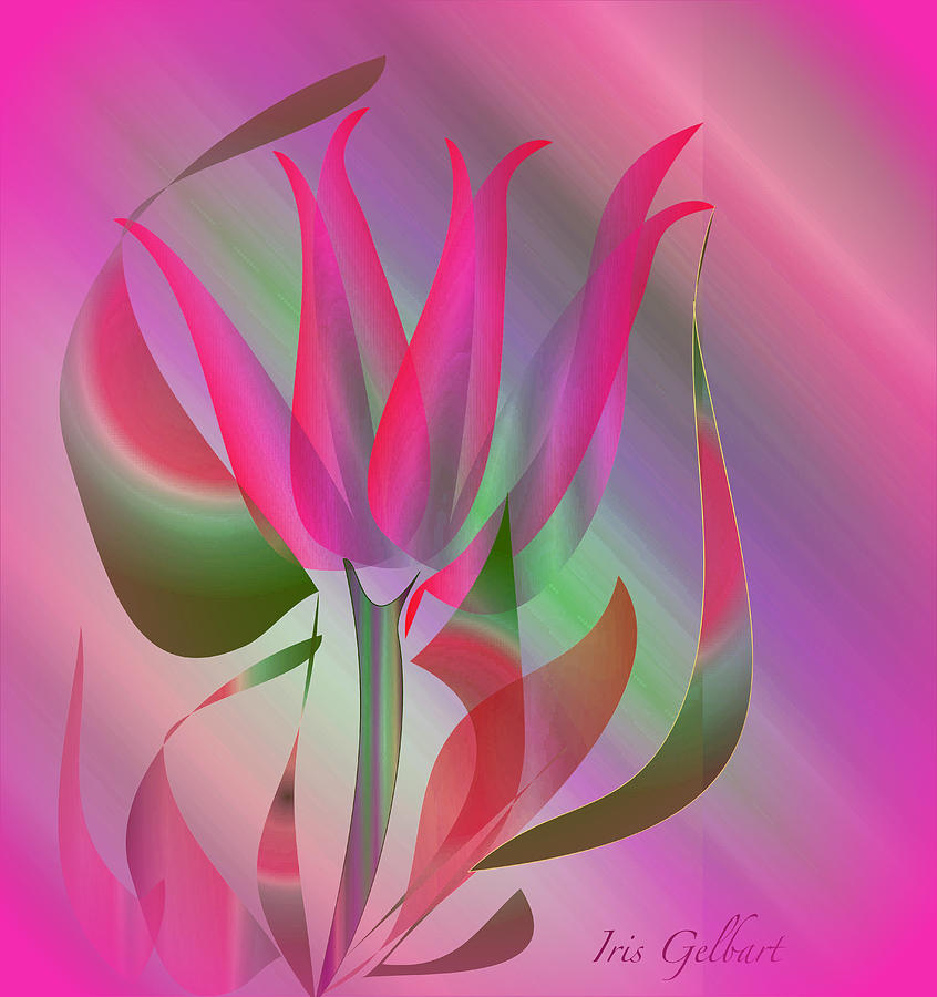 Hot Pink Digital Art by Iris Gelbart