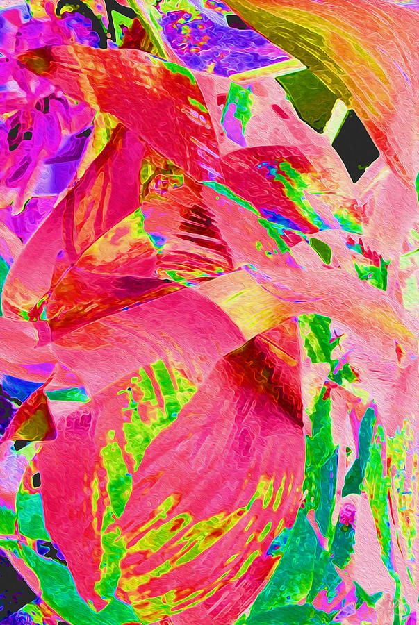 Nature Photograph - Hot Pink Leaf Abstract by Stephanie Grant