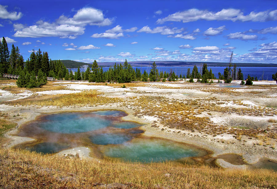Hot Springs at Yellowstone Lake Photograph by Carolyn Derstine