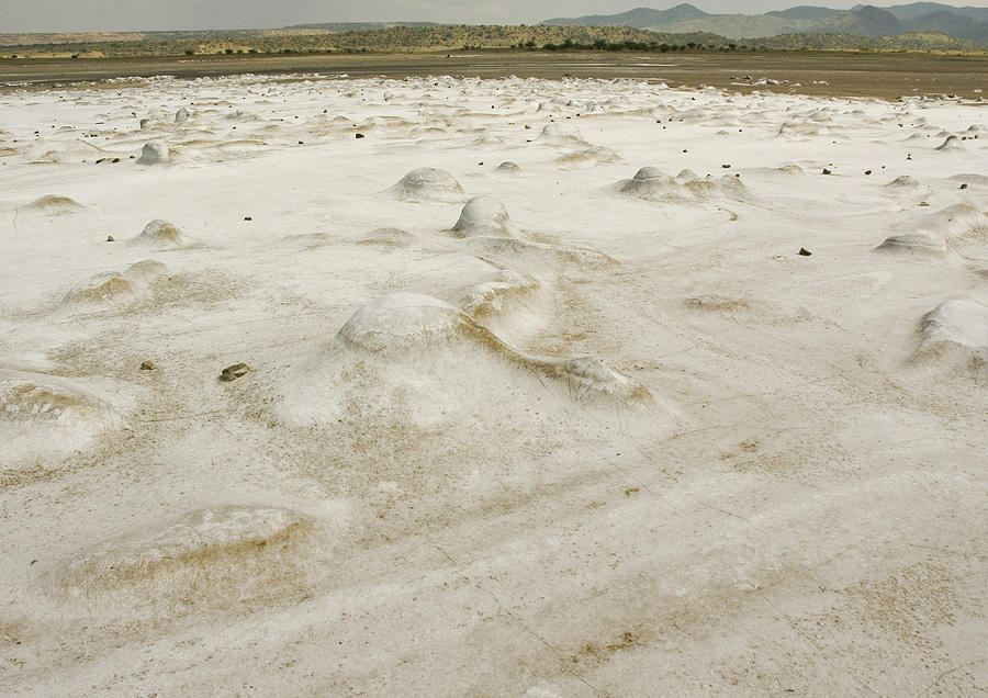 Chert deposits Photograph by Patrick Kain