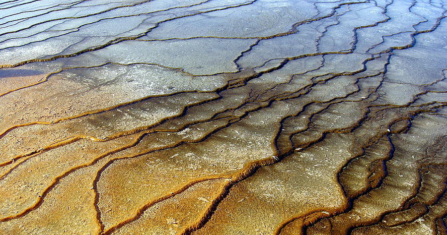 Hot Springs Patterns Photograph Photograph by Kimberly Walker