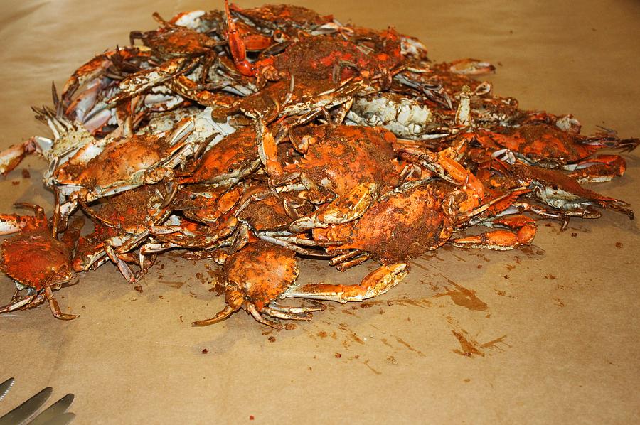 Hot Steamed Blue Crabs Photograph by Paulette Thomas