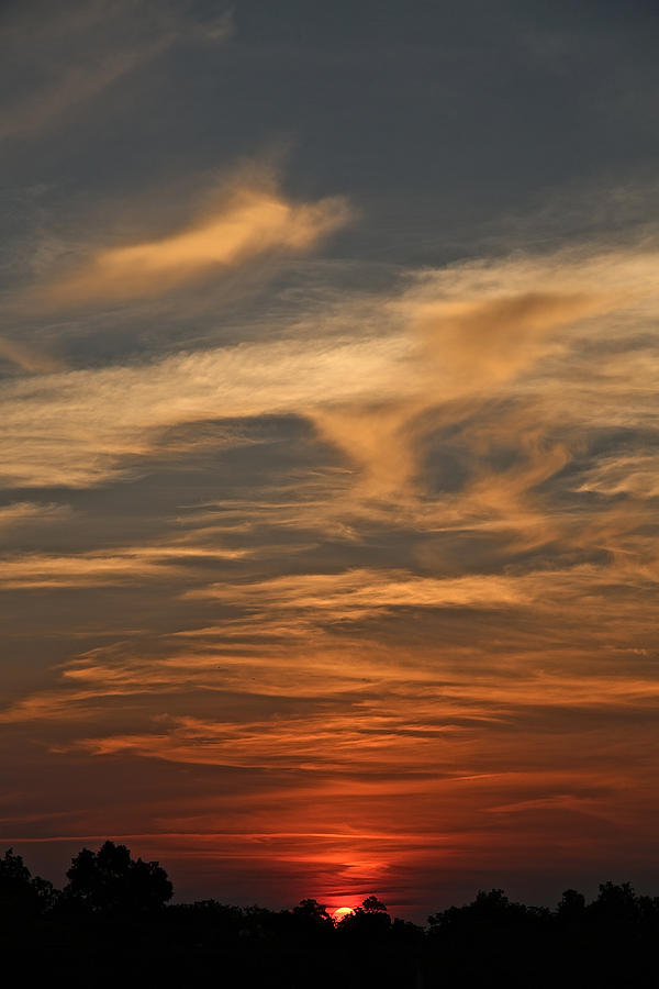 Hot Summer Sunset Photograph by Donna Quante