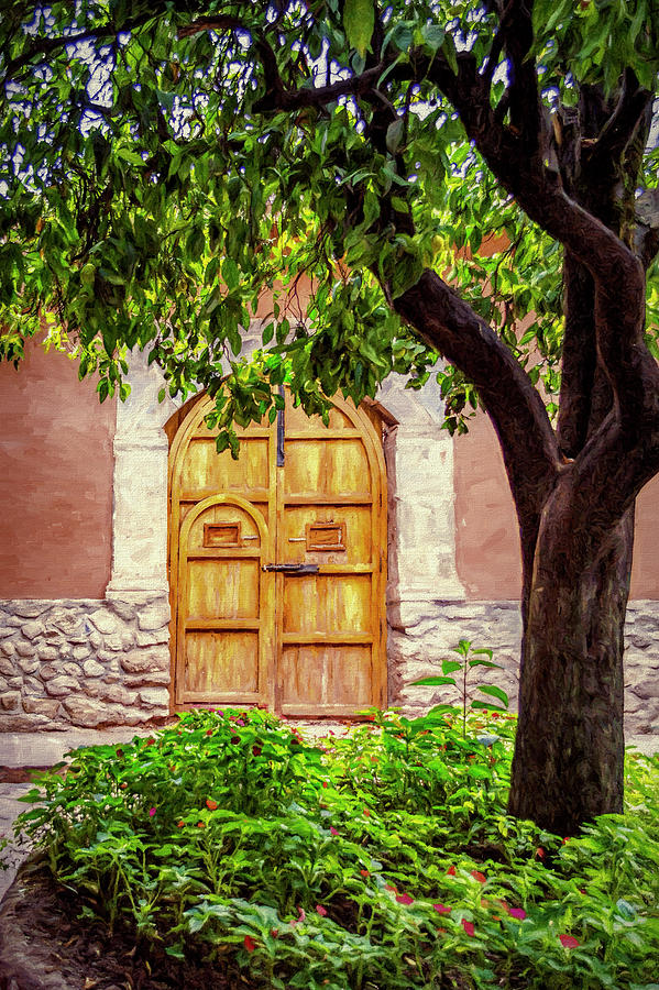 Yellow Wooden Door Photograph by Maria Coulson