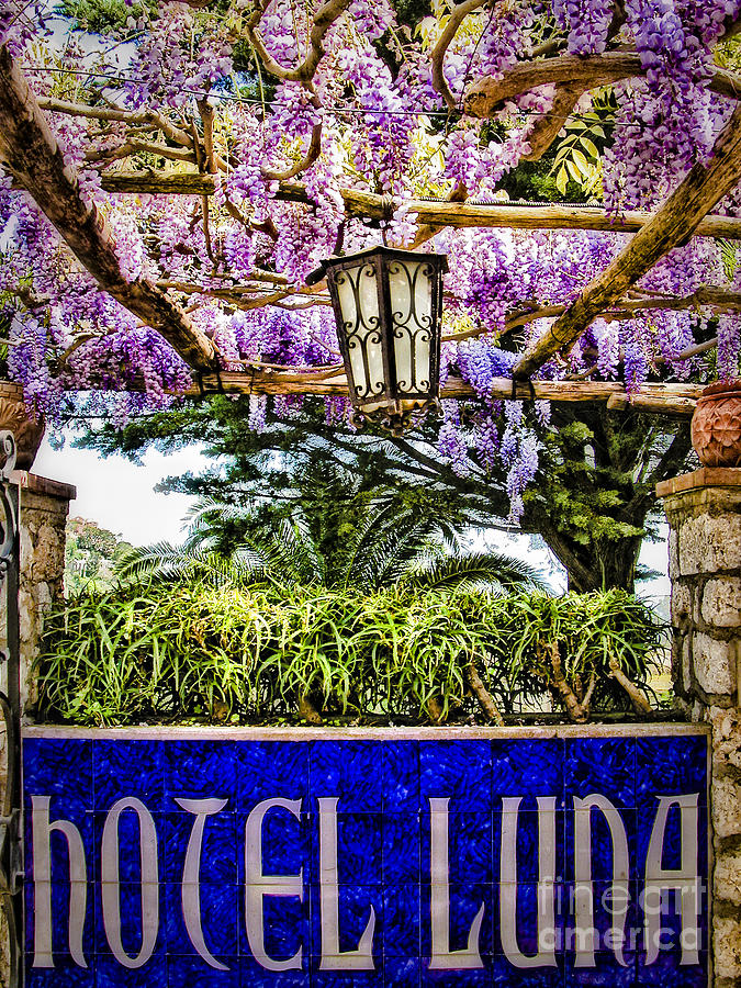 Hotel Luna Capri Photograph by Timothy Hacker