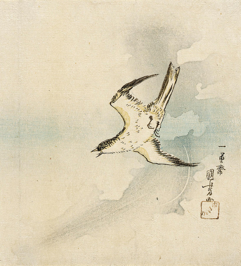 Hototogisu Drawing by Utagawa Kuniyoshi