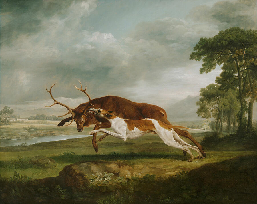 Hound Coursing a Stag, from circa 1762 Painting by George Stubbs