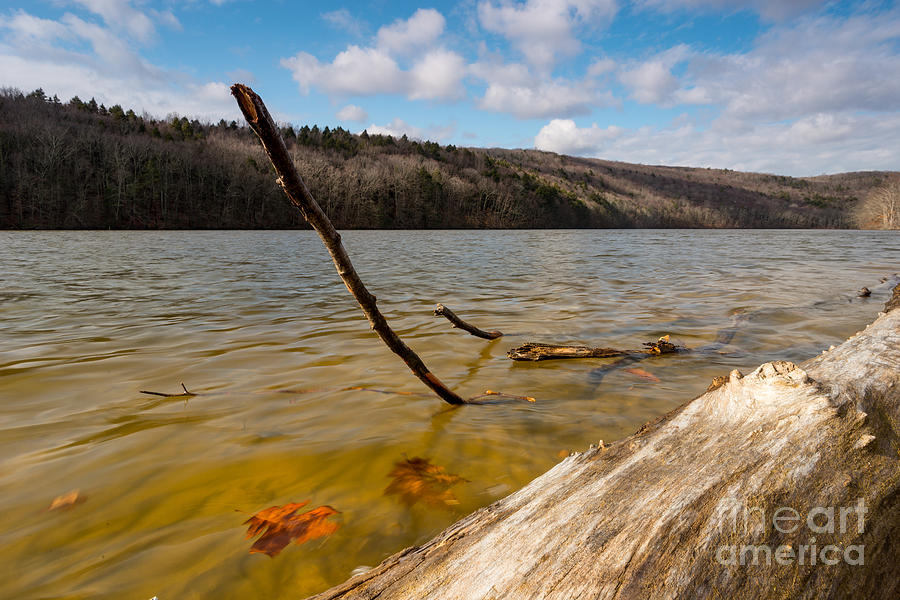 Housatonic Driftwood - Relaxing Scenic River Photograph by JG Coleman