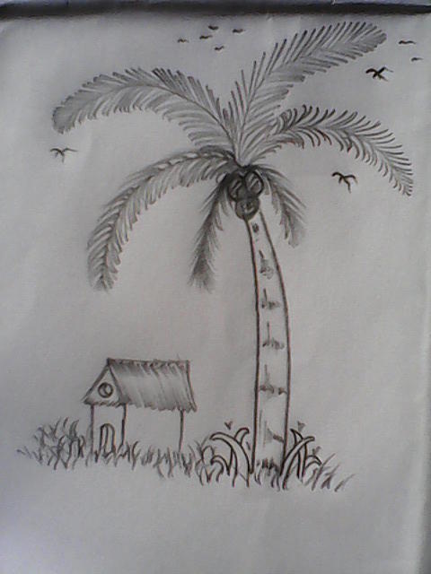 Coconut Tree Drawing, coconut, leaf, plant Stem, palm Tree png | PNGWing-saigonsouth.com.vn