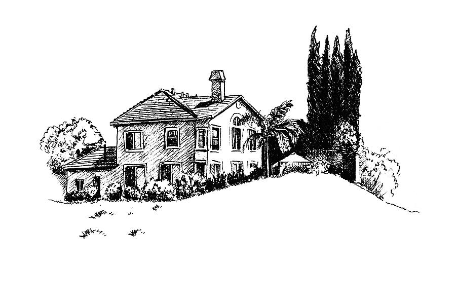House And Cypresses Drawing