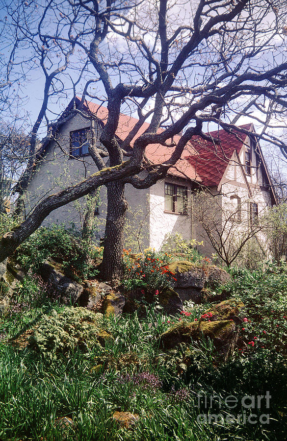 House and Tree in Victoria British Columbia Canada Photograph by Wernher Krutein
