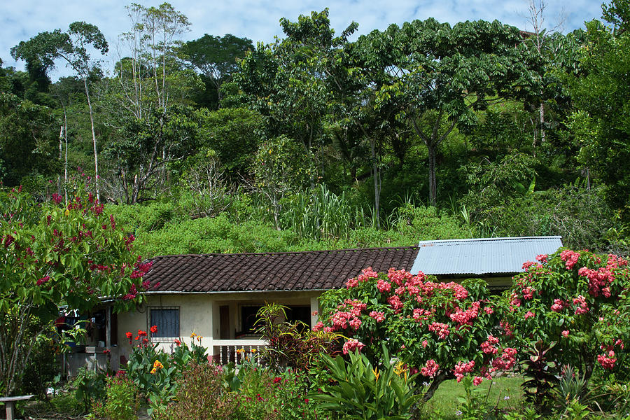 House Beside the Napo River Photograph by Cascade Colors