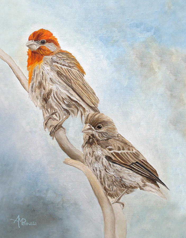House Finch Couple Painting by Angeles M Pomata