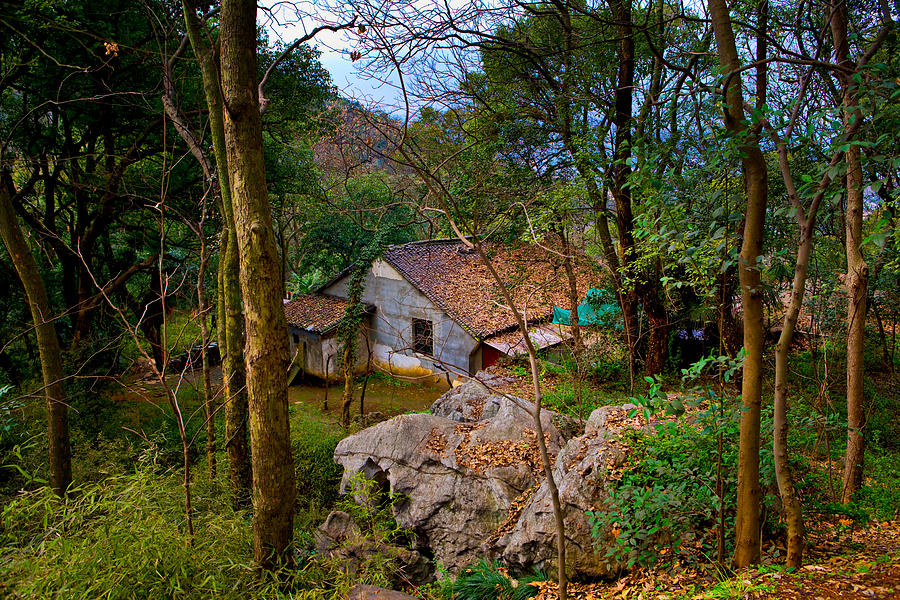 House In China Woods Photograph
