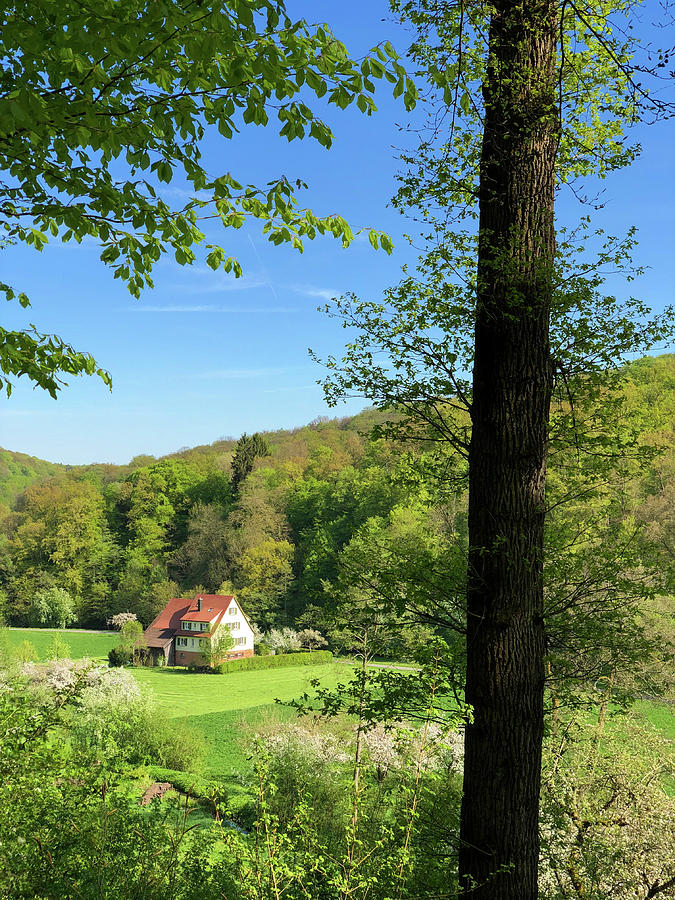 House in green spring landscape in Germany Photograph by Matthias Hauser