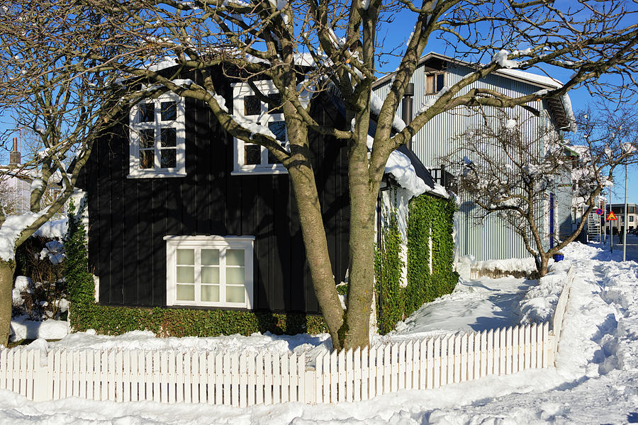 House in Reykjavik Iceland in winter Photograph by Matthias Hauser
