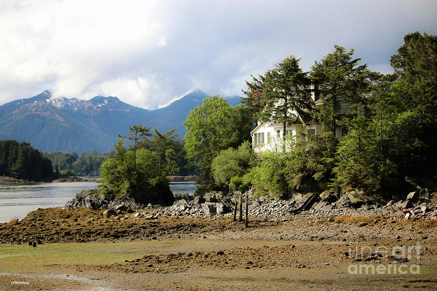 House in Sitka Alaska Photograph by Veronica Batterson